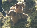 1-11 mars 2012 087.jpg