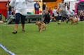 Borås 2 juli 2011 112.jpg