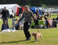 DSC_0859.JPG