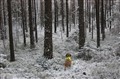 Flinga jagar 3 december 2012 063.JPG