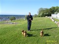 Gotland 2010 064.jpg