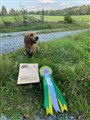 Haxe viltspårchampion.jpeg