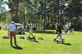 Skutberget 5 juni 2016 425.JPG