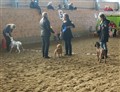 Sätila 25 februari 2012 274.jpg