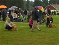 Tånga Hed 2010 027.jpg