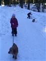 Vinterpromenad mars 2010 014.jpg