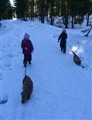 Vinterpromenad mars 2010 015.jpg