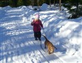 Vinterpromenad mars 2010 037.jpg