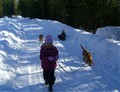 Vinterpromenad mars 2010 046.jpg