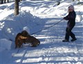 Vinterpromenad mars 2010 058.jpg